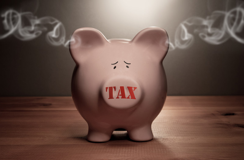 Tax Piggy Bank